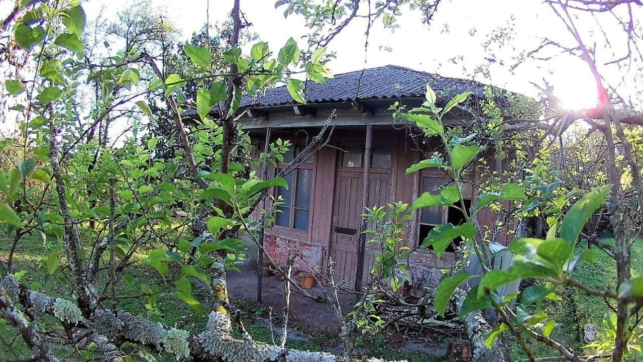 Surmava Palace Martvili Kültér fotó